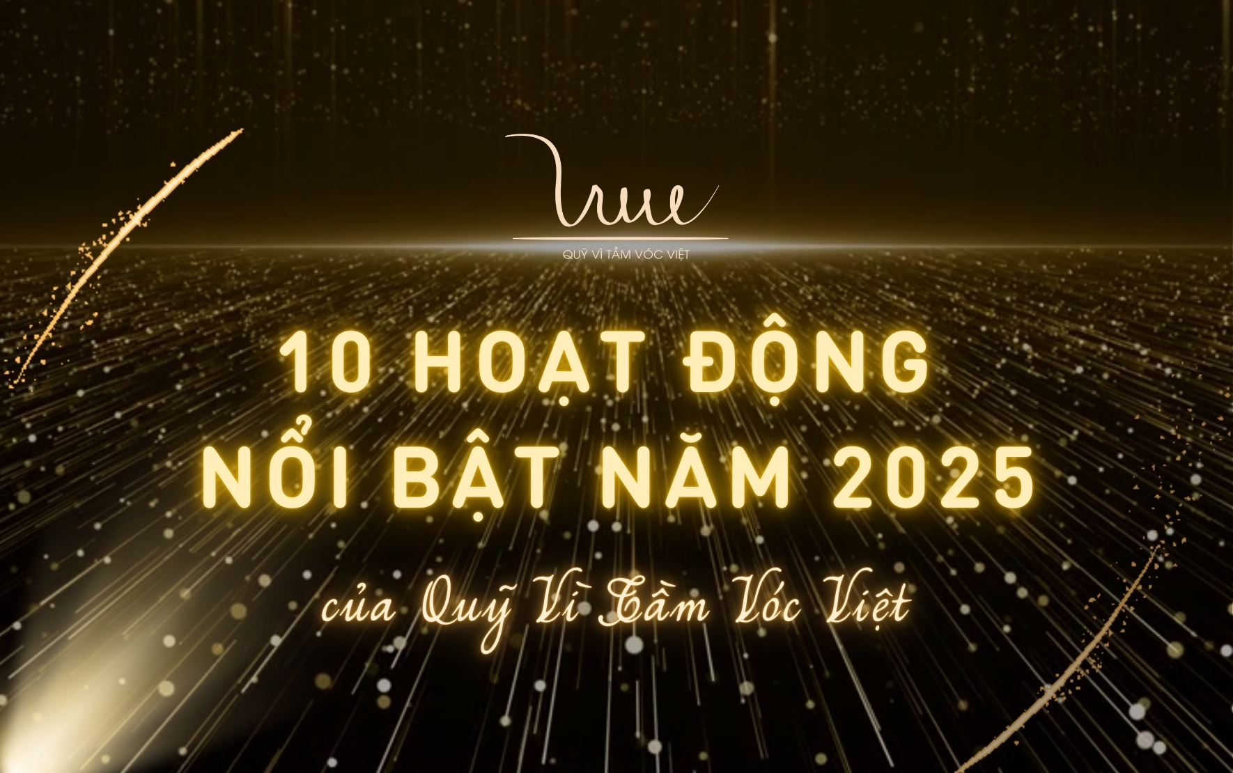 10 hoạt động nổi bật năm 2025 của Quỹ Vì Tầm Vóc Việt